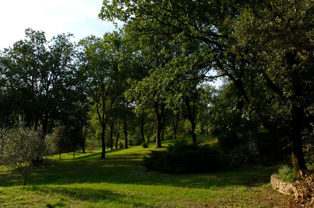 La Colonna Bed & Breakfast Montelanico Екстериор снимка